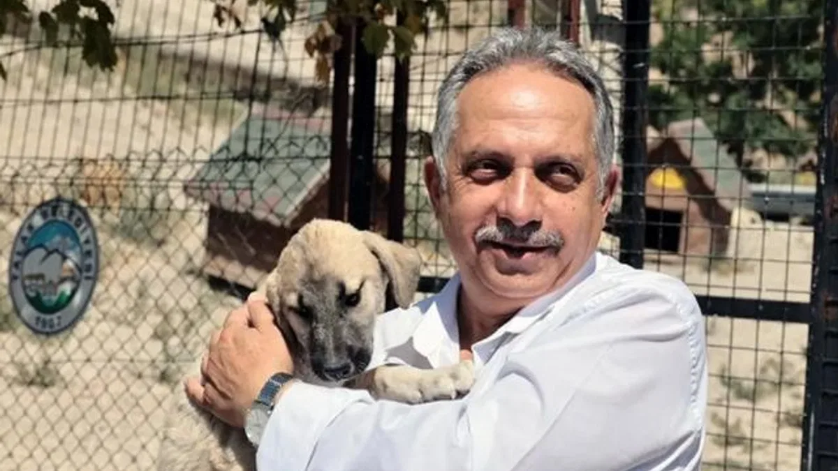 Kayseri Talas Pati Evi can dostlara yuva oluyor
