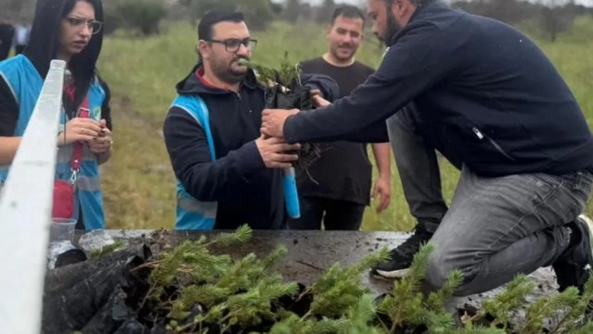 İzmir Aliağa’da yangınların yarası bin fıstık çamıyla sarıldı