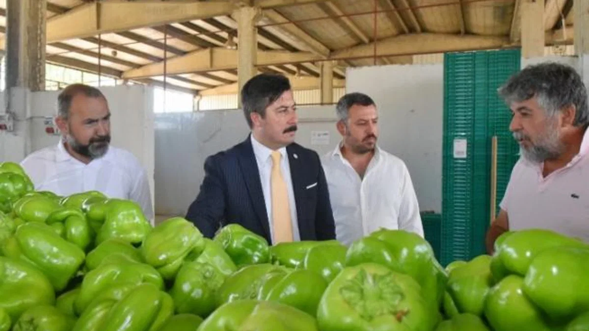 Yenişehir Biberi’ne yeni pazar arayışı