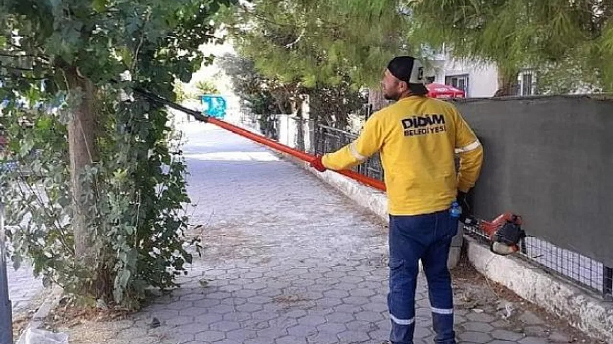 Didim’de Ağaç Budama Çalışmaları Sürüyor