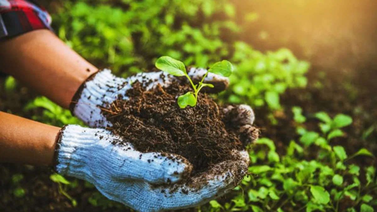Tarımda yeni dönem başlıyor… Bitkisel üretimde yeni model hayata geçti