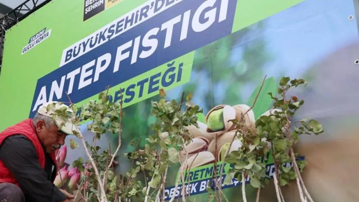 Konya’da antep fıstığı yaygınlaşıyor