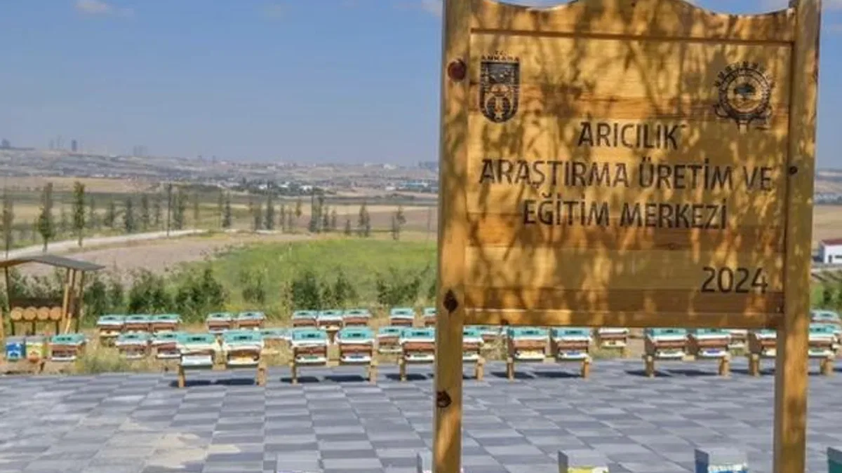 ABB’den arıcılık için dev proje