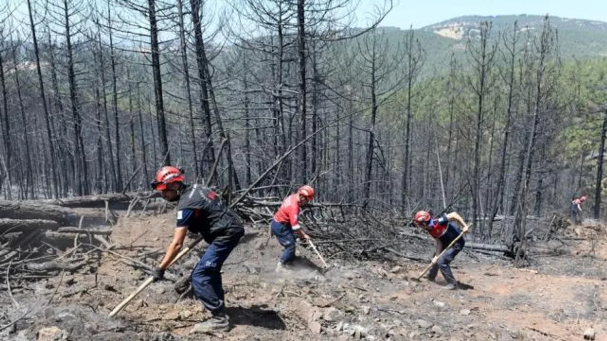 Bursa’da orman yangınlarına OSAD’dan koordineli müdahale