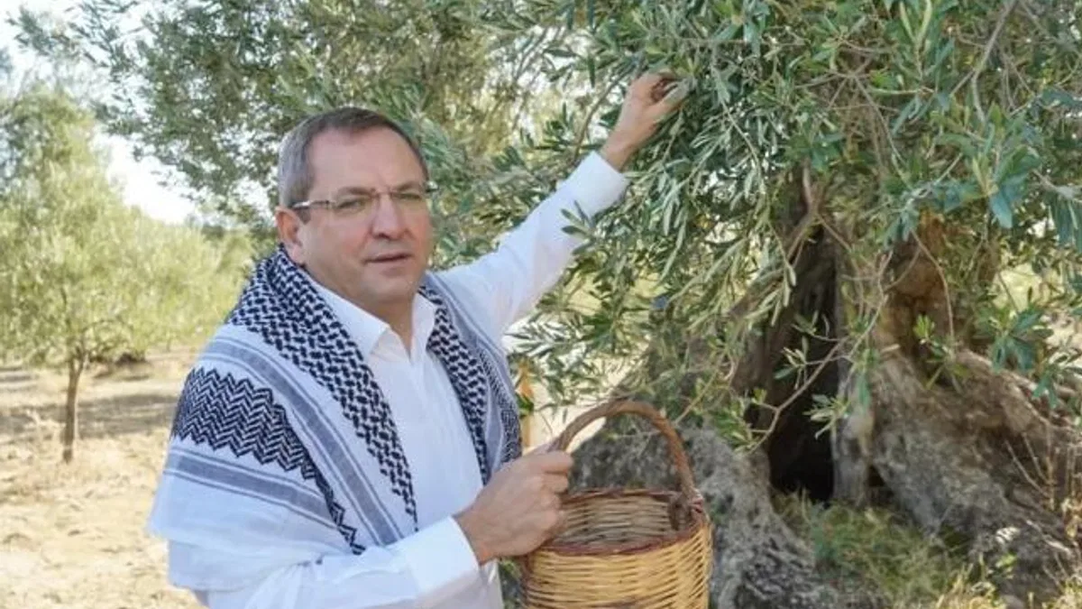 Ayvalık, zeytin ve zeytinyağının buluşma noktası olacak