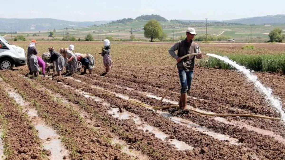 Bursa Yenişehir Ovası’ndan su krizi uyarısı! Yenişehir’de su seviyesi tehlikede!