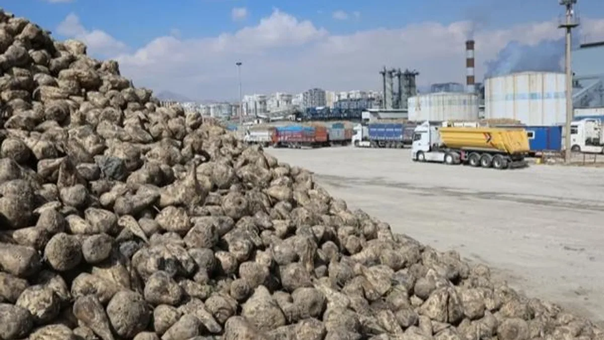 Konya Pancar Ekicileri bu yıl verimden memnun