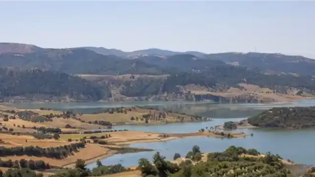 İzmir ve Manisa’dan dev çevre iş birliği… Gördes’e 2 bin dönümlük bal ormanı geliyor