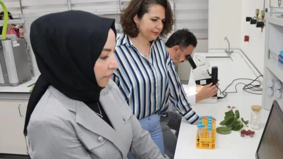 BTÜ’de Diyabet Hastalarına Özel Gıda Kaplaması Geliştirildi