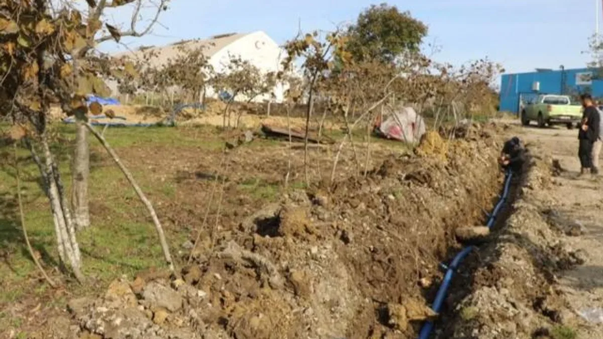 Ordu’da fındıkta verim için damlama sulama dönemi