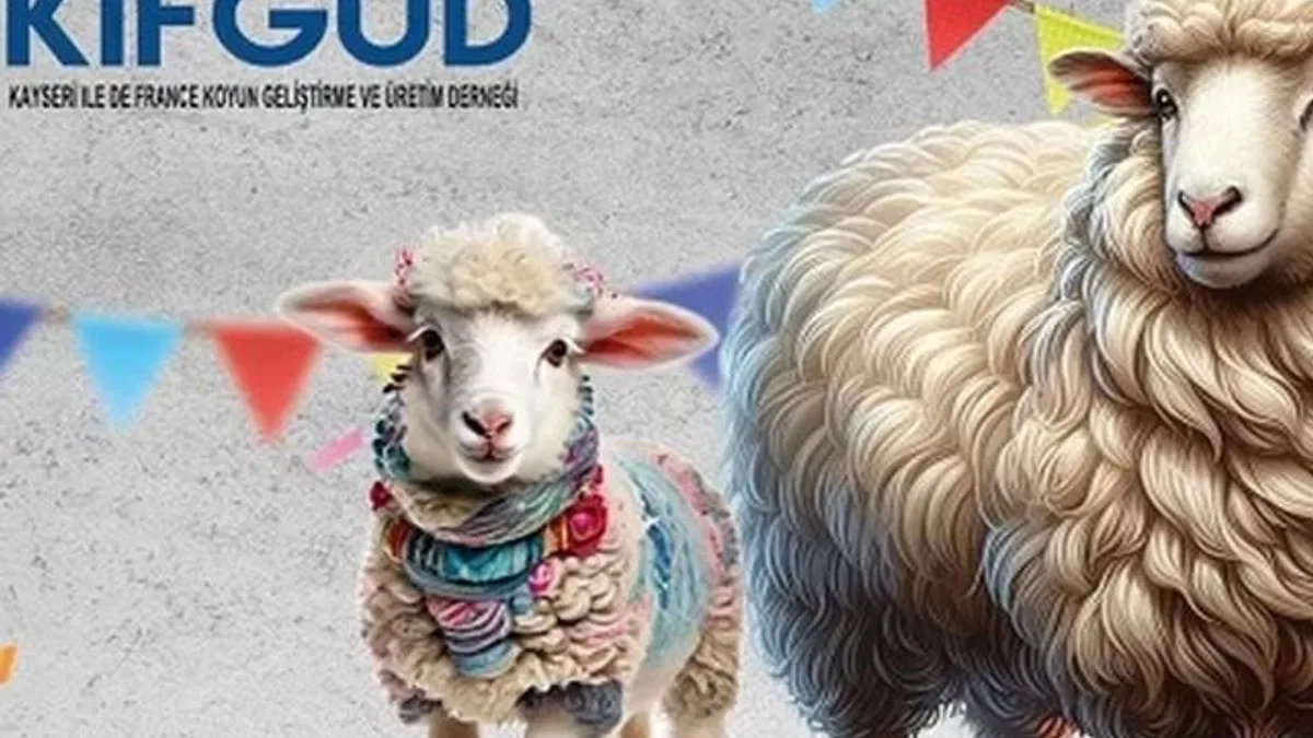 Kayseri Talas’ta France ırkına özel festival