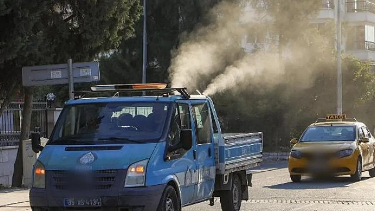 Buca Belediyesi, beyaz sineklere karşı ilaçlama başlattı