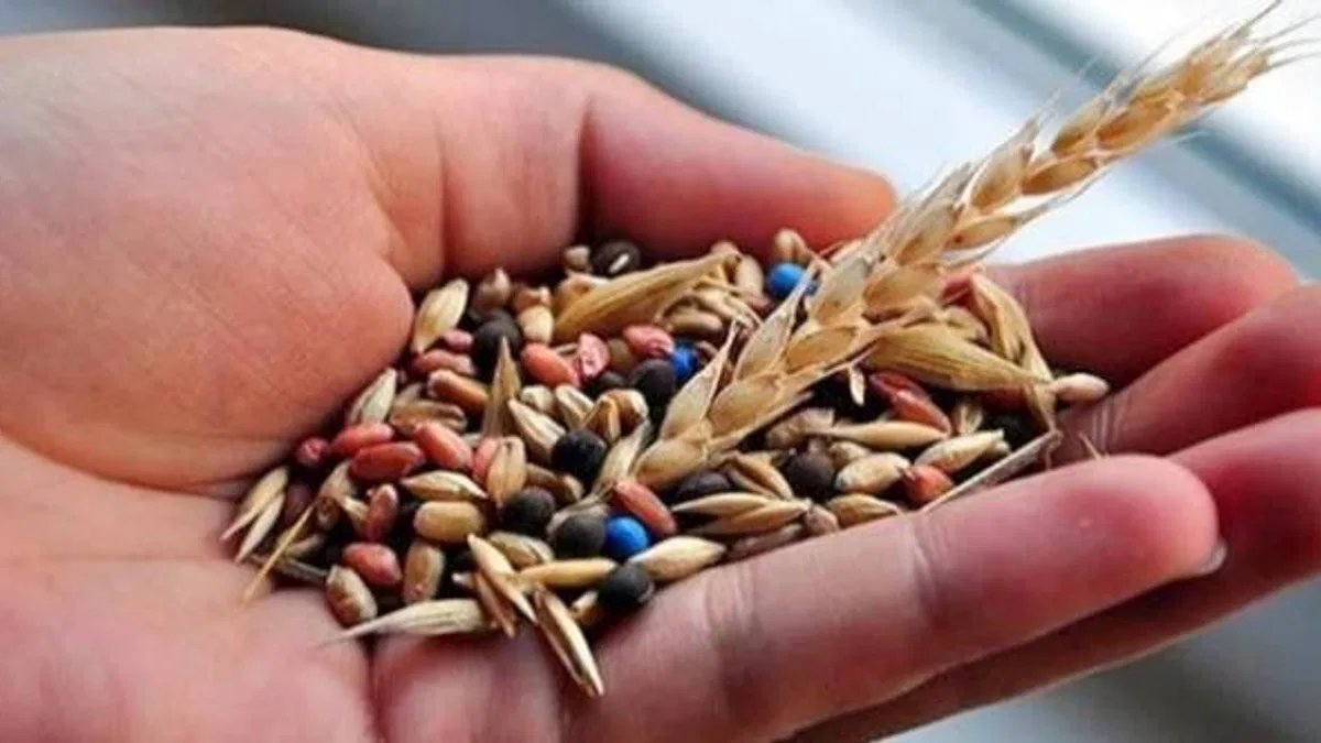 Tescilli Ata tohumları Koop Market’te