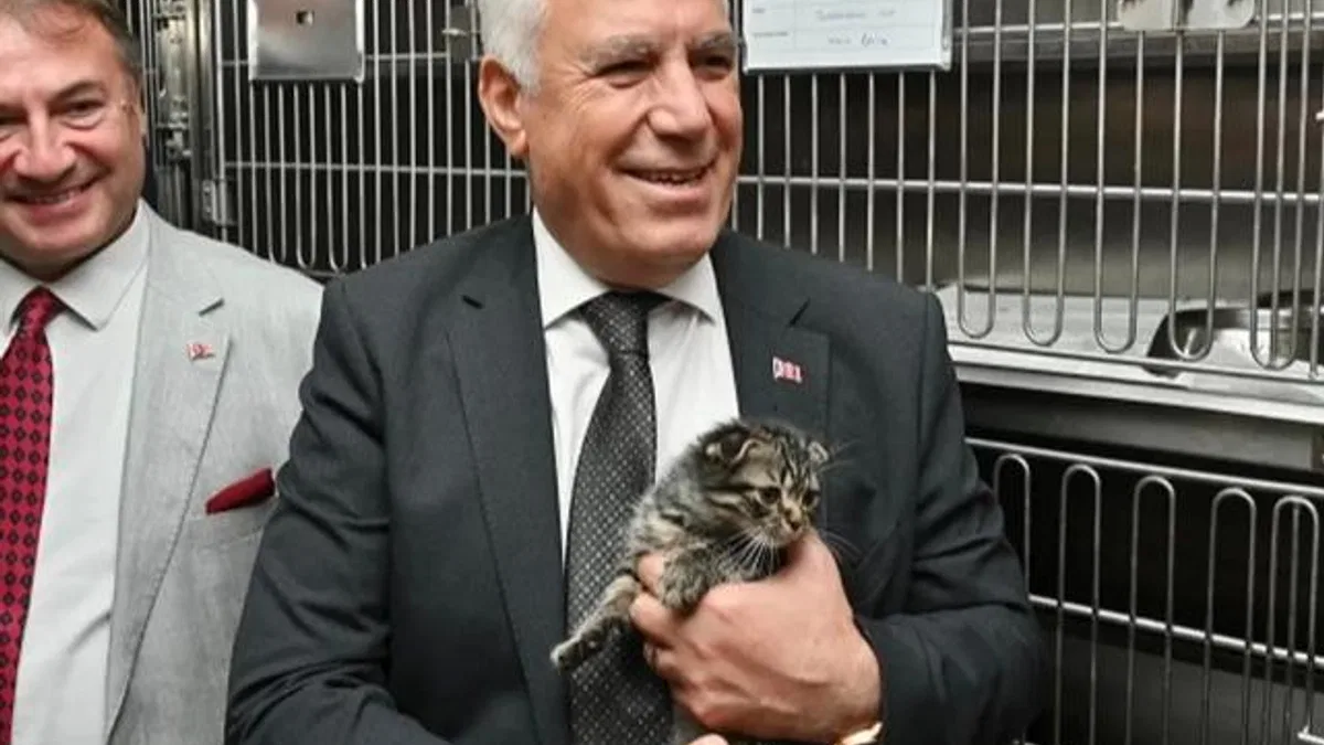 Bursa Büyükşehir’den can dostlar için önemli adım