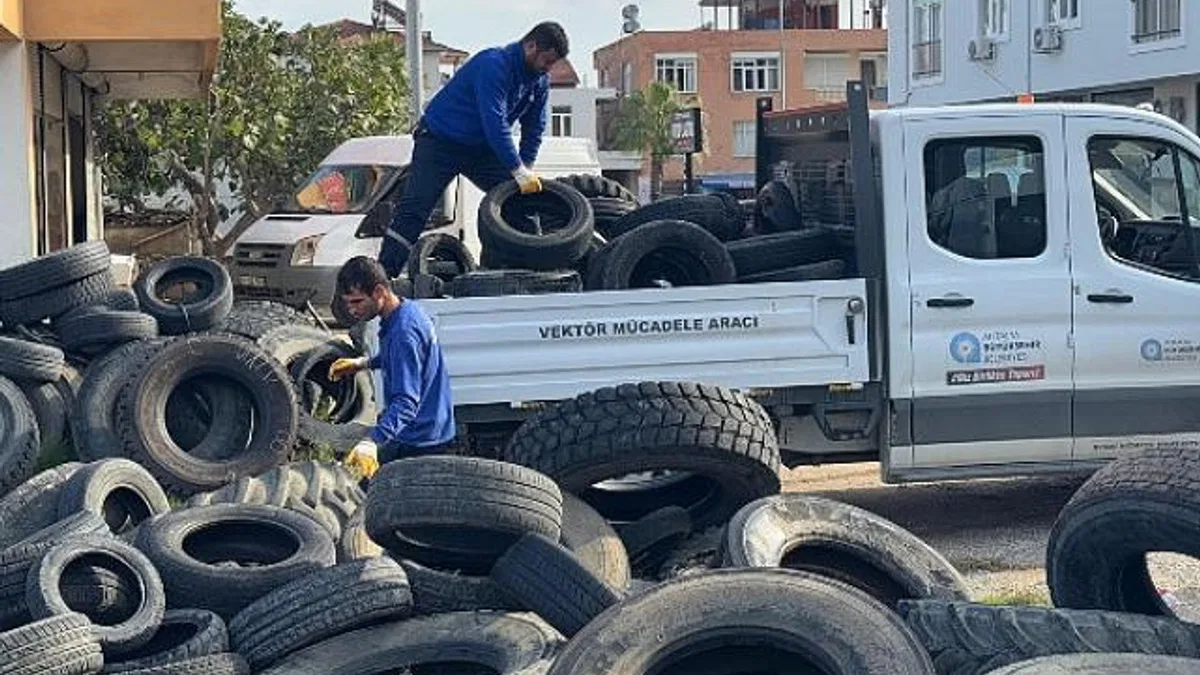 Sineklerin üreme alanı lastikler toplanıyor