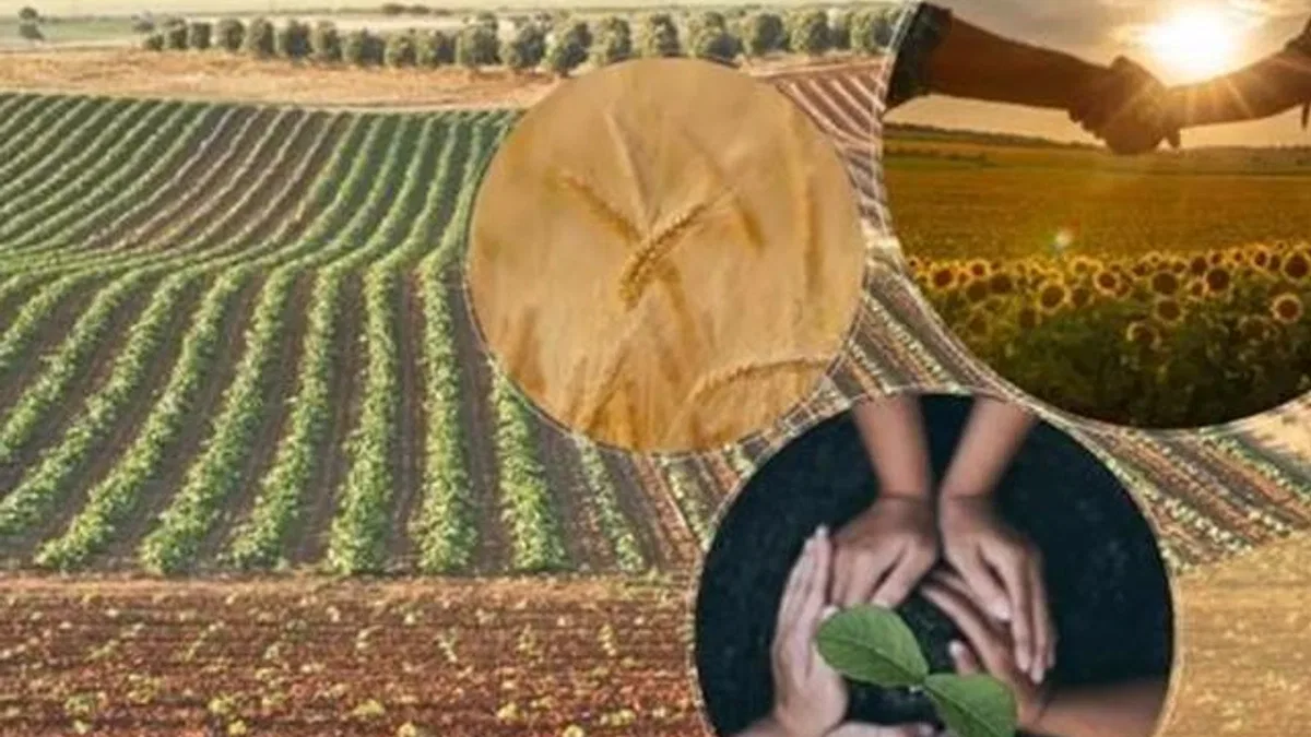 Tarımsal örgütlere yönetmelik ayarı