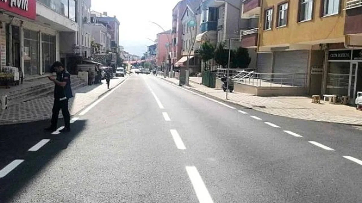 Derince Çavdar Caddesine estetik görünüm