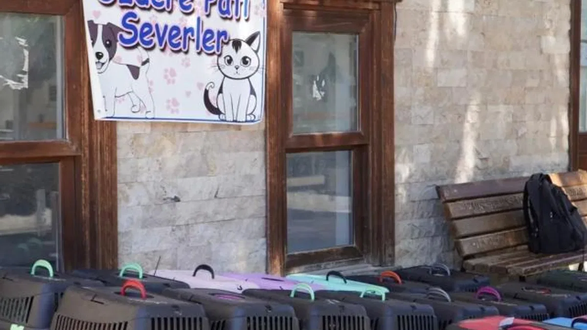 İzmir’de 7 bin kediye mobil kısırlaştırma