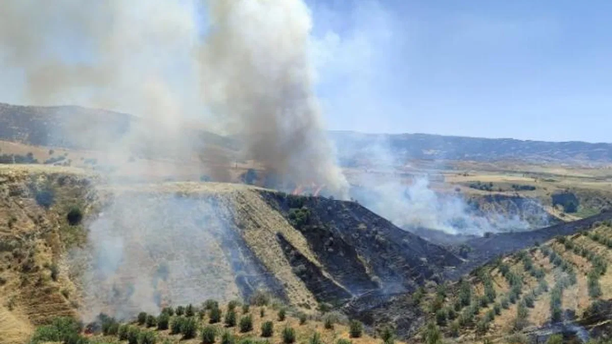 Manisa Alaşehir’de korkutan yangın kontrol altına alındı