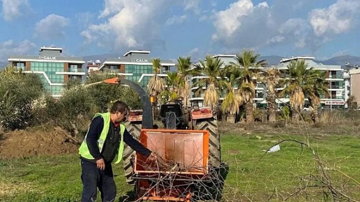 Budanan ağaçlar ihtiyaç sahiplerine yakacak oluyor