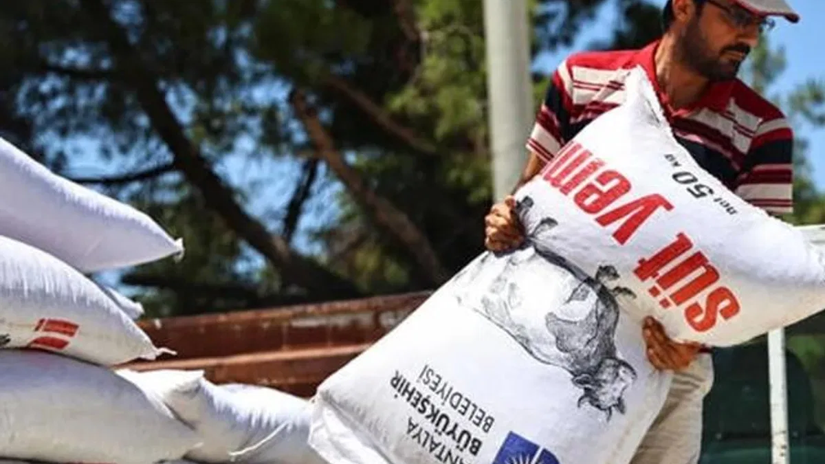 Antalya’da yem desteğiyle süt üretimine güçlü katkı