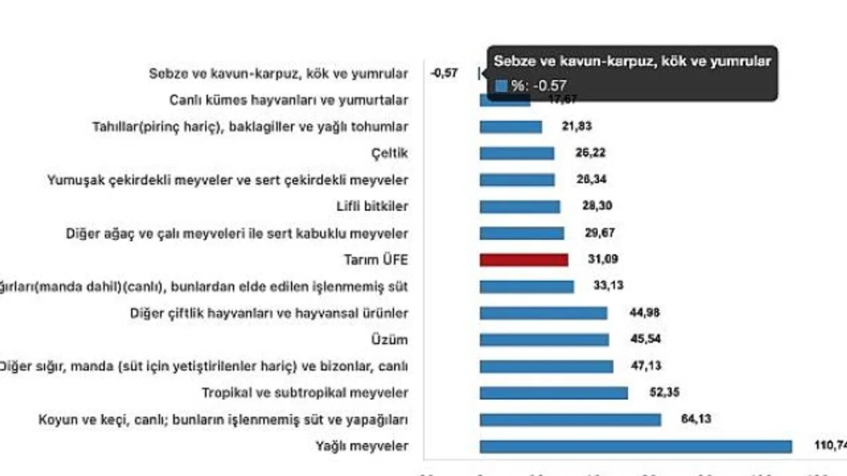 Tüik: Tarım ürünleri üretici fiyat endeksi (Tarım-ÜFE) yıllık %31,09 arttı, aylık %2,00 arttı