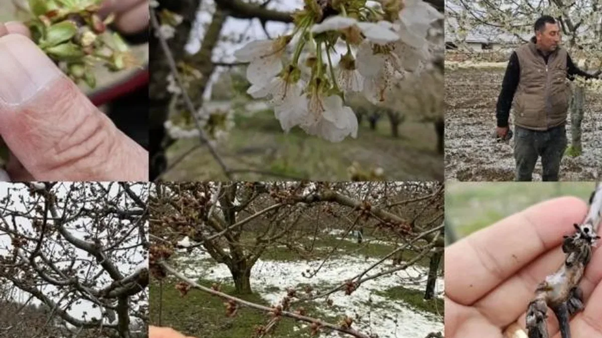 TBMM Zirai Don Araştırma Komisyonu üye seçimi ‘Resmi’leşti