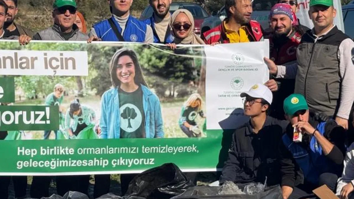 Bursa, Bilecik ve Yalova’da orman temizliği