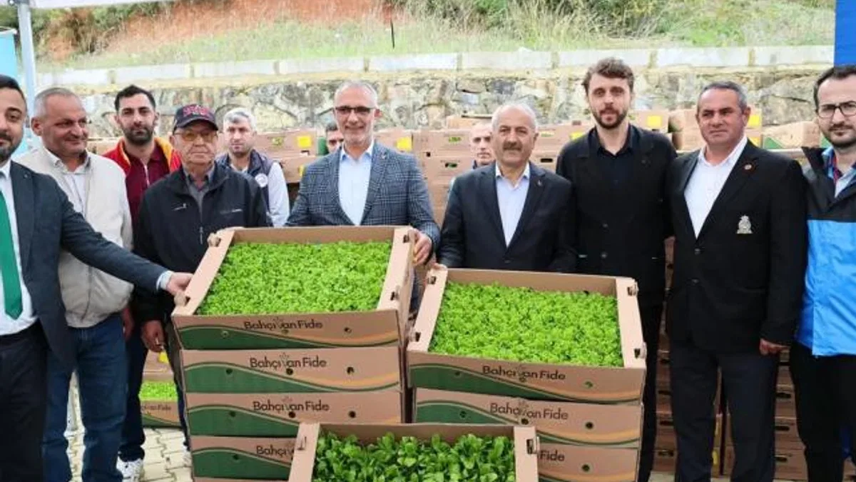 Gebze’de sebze fideler dağıtıldı