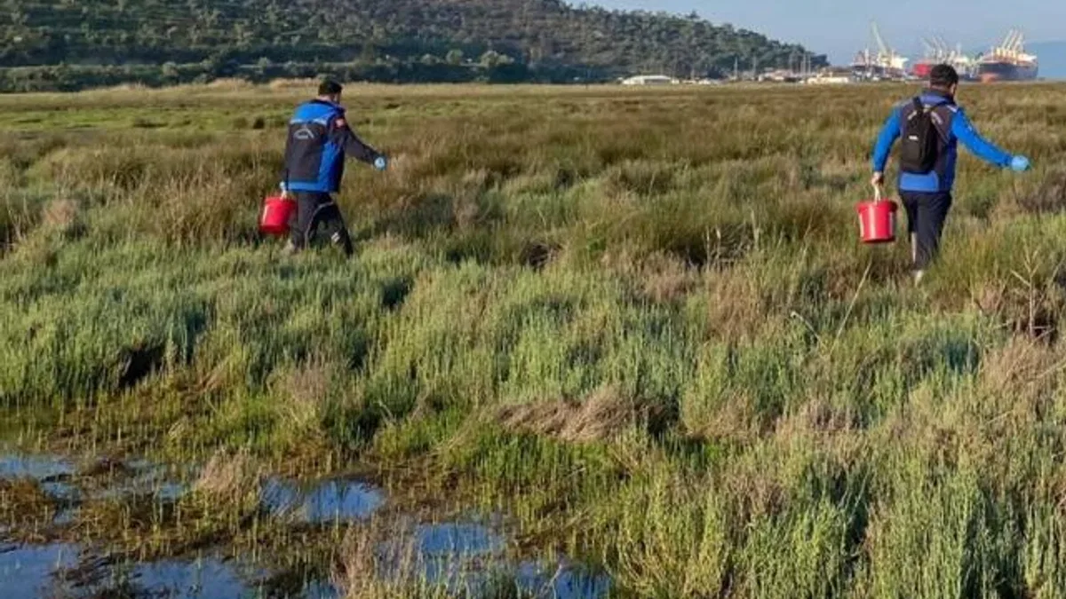 Muğla Büyükşehir’den Güllük’te 60 hektarda ilaçlama