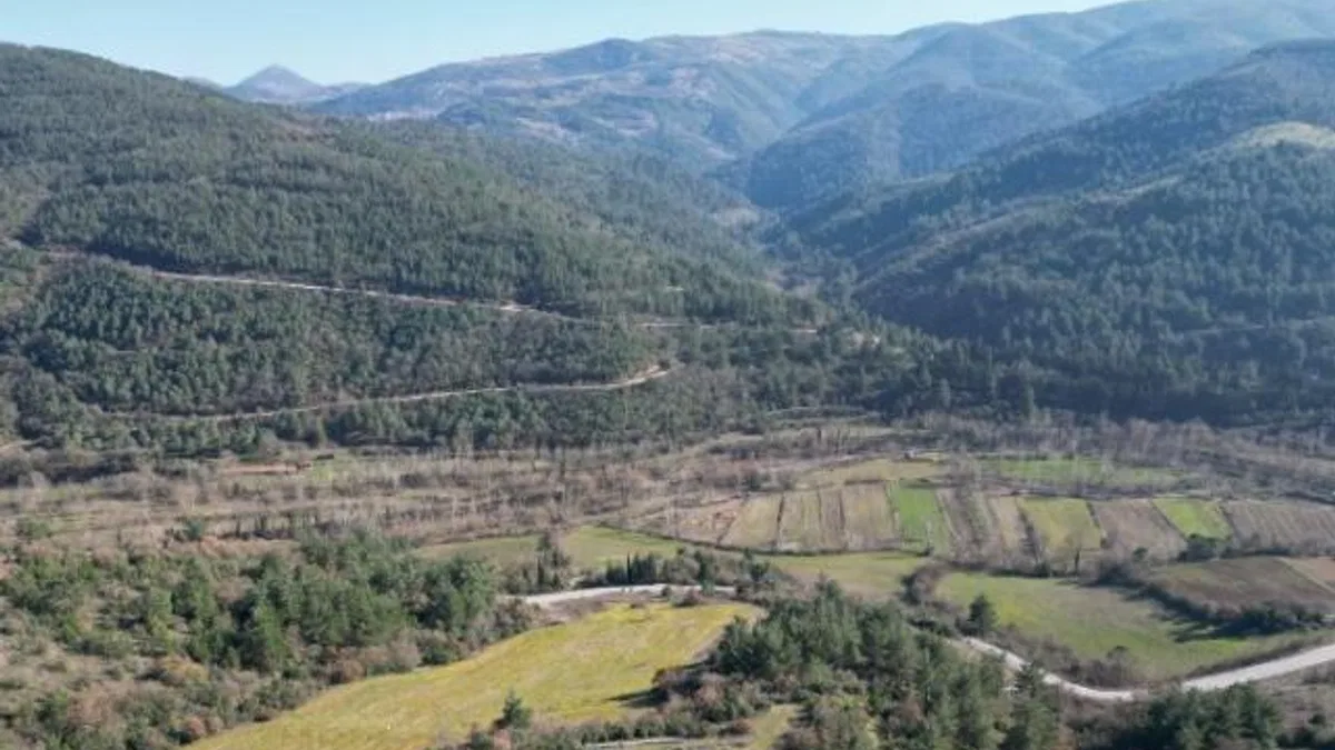 Arsalar yükselen değer olmayı sürdürüyor