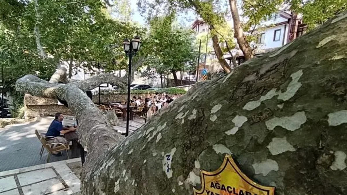 Osmanlı’dan günümüze… Bursa İnkaya’da görkemli gölge