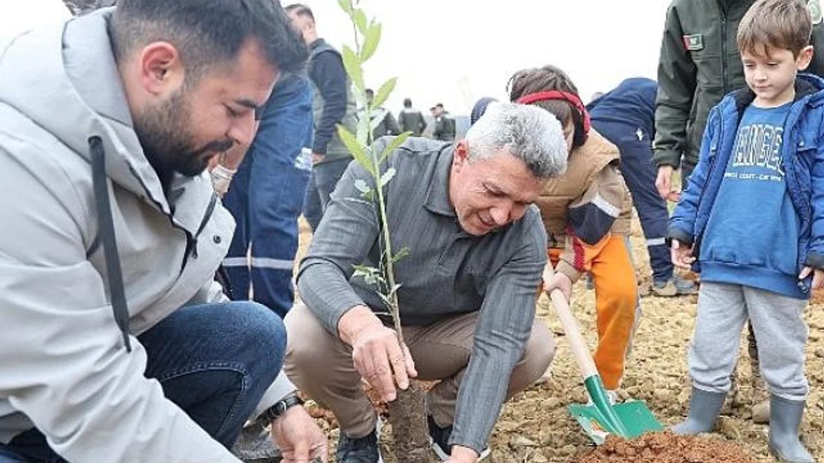 Kandıra’da 1.500 Defne Fidanı Toprakla Buluştu.