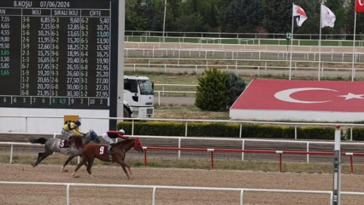 TJK’nın Nilüfer koşusunu ‘Kardeşcan’ kazandı