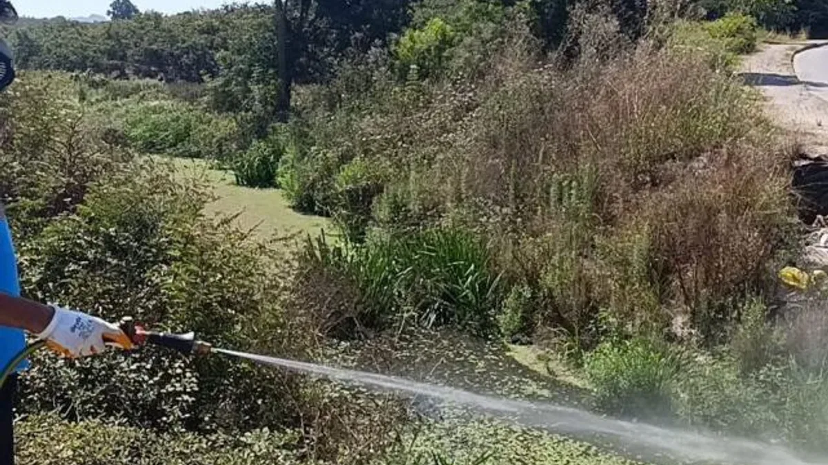 Sakarya’da dere yatakları, kanallar, bataklıklar ve göletlere tek tek ulaşıyorlar