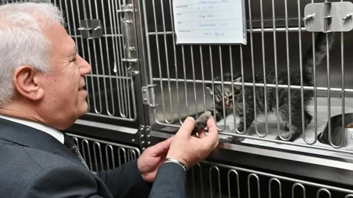 Bursa Büyükşehir’den ‘yuvanız yuvası olsun’ projesi