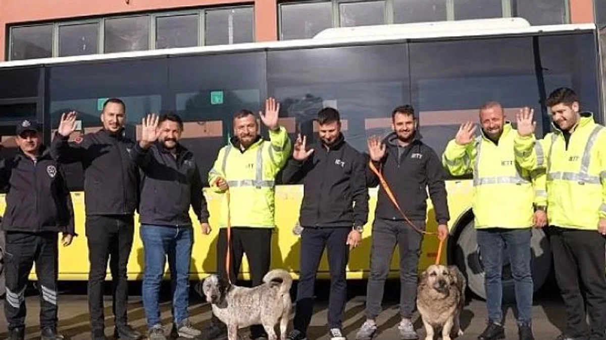 İETT’nin patili dostlar ailesi büyüyor