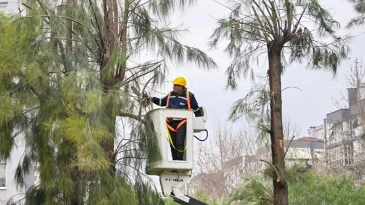 İzmir Bornova’da kışa hazırlık başladı