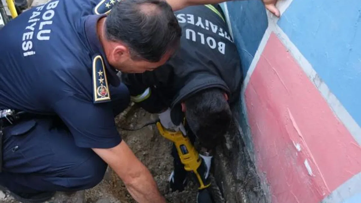 İtfaiyeden kedi kurtarma operasyonu