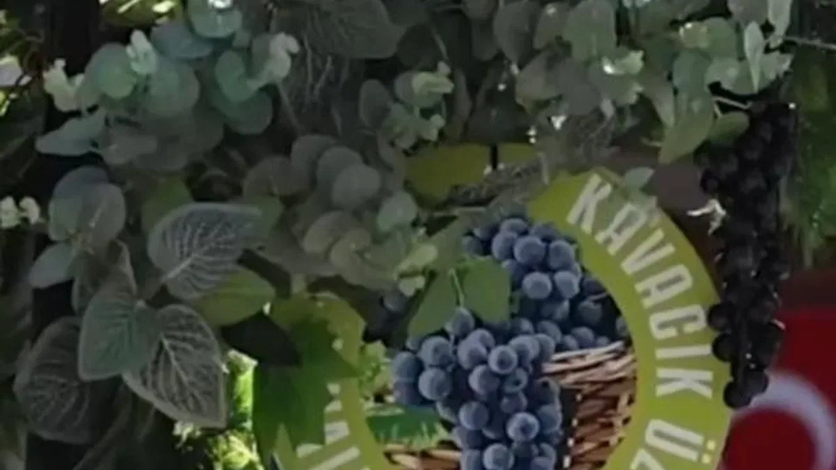 Karabağlar Kavacık’taki üzümle 13’üncü buluşma