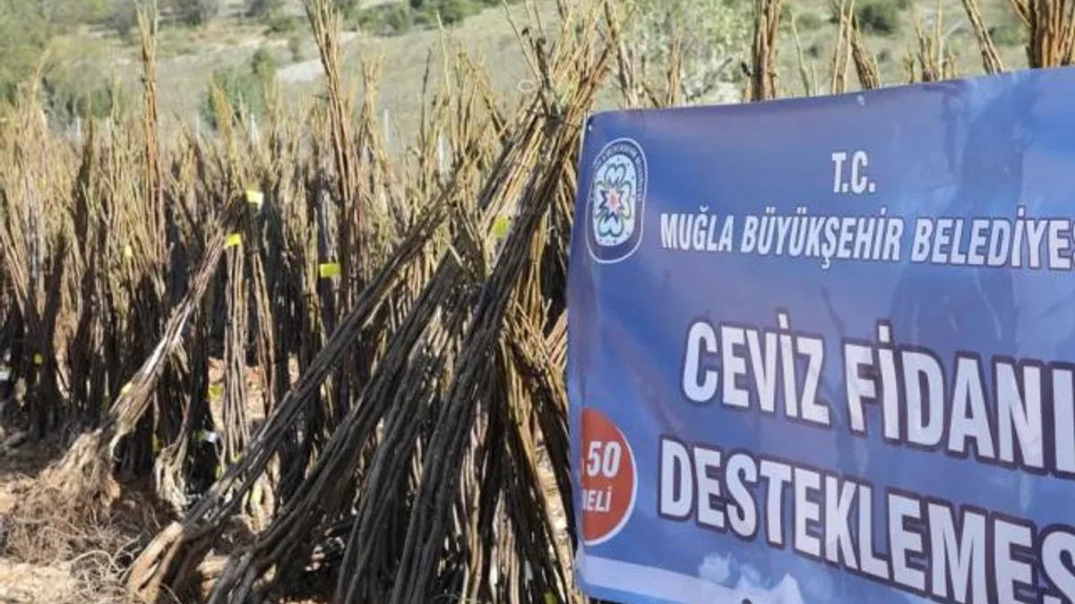 Muğla’da her kapıda bir fidan!