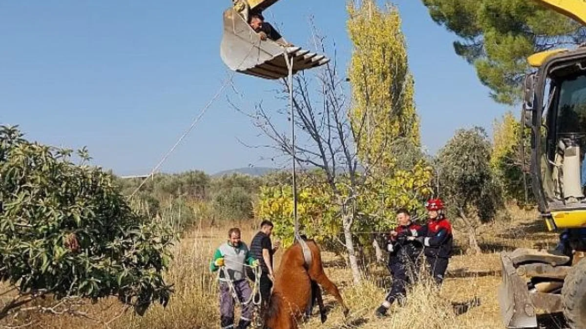 Kemalpaşa Ulucak Mahallesi’nde su kuyusuna düşen yılkı atı, ekiplerin yoğun çalışmaları sonucu kurtarıldı