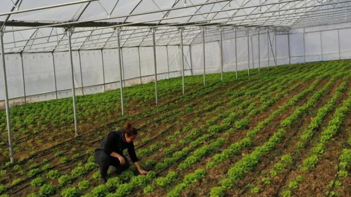 Kocaeli Büyükşehir’den çiftçilere modern sera desteği