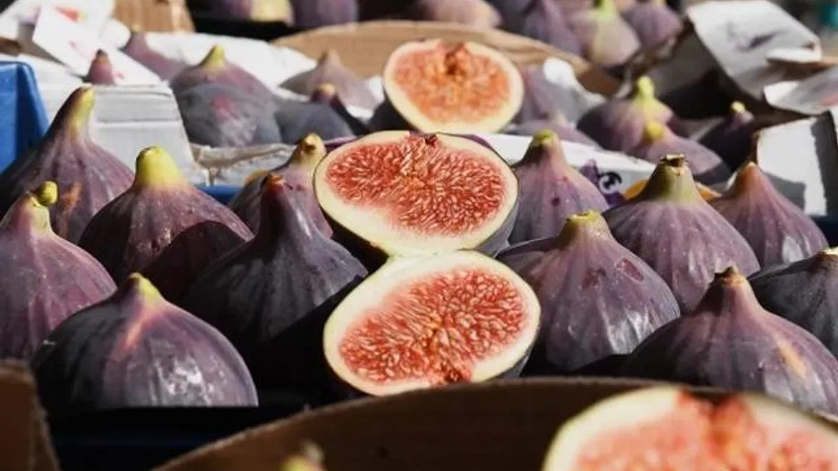Siyah incir Bursa’nın gözbebeği
