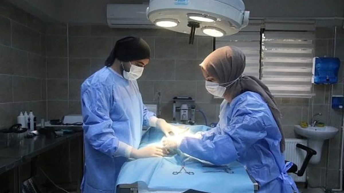 Büyükşehir patili dostlara sahip çıkıyor