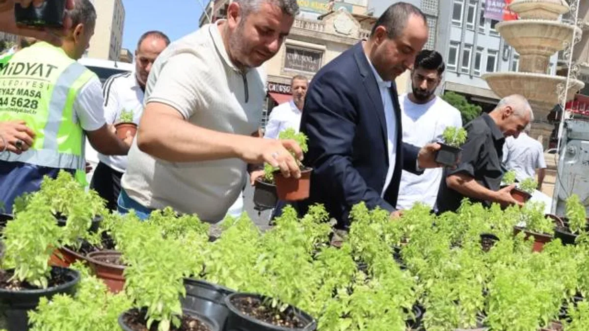Mardin Midyat’ta fesleğen ve reyhan dağıtıldı