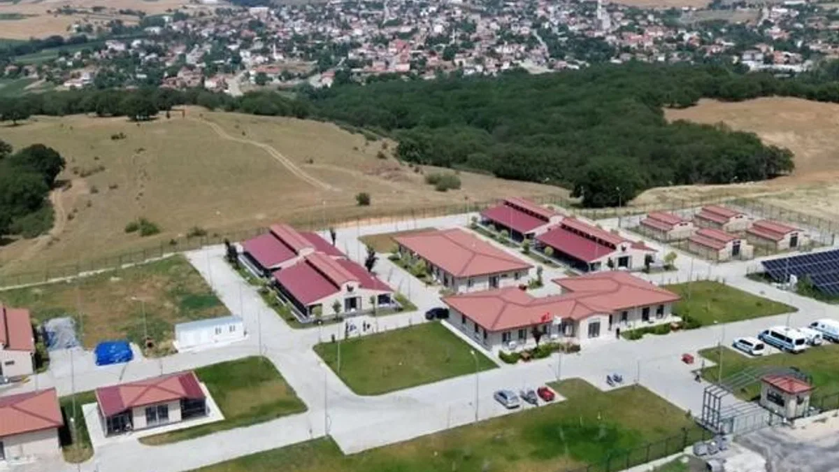 Büyükşehir sahipsiz hayvanlara umut oluyor