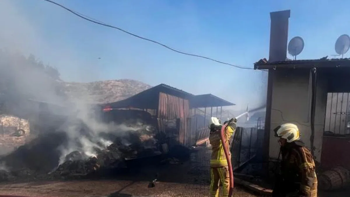 İzmir Bayındır’da ot yangını yerleşimi tehdit etti… 100 kişi tahliye edildi