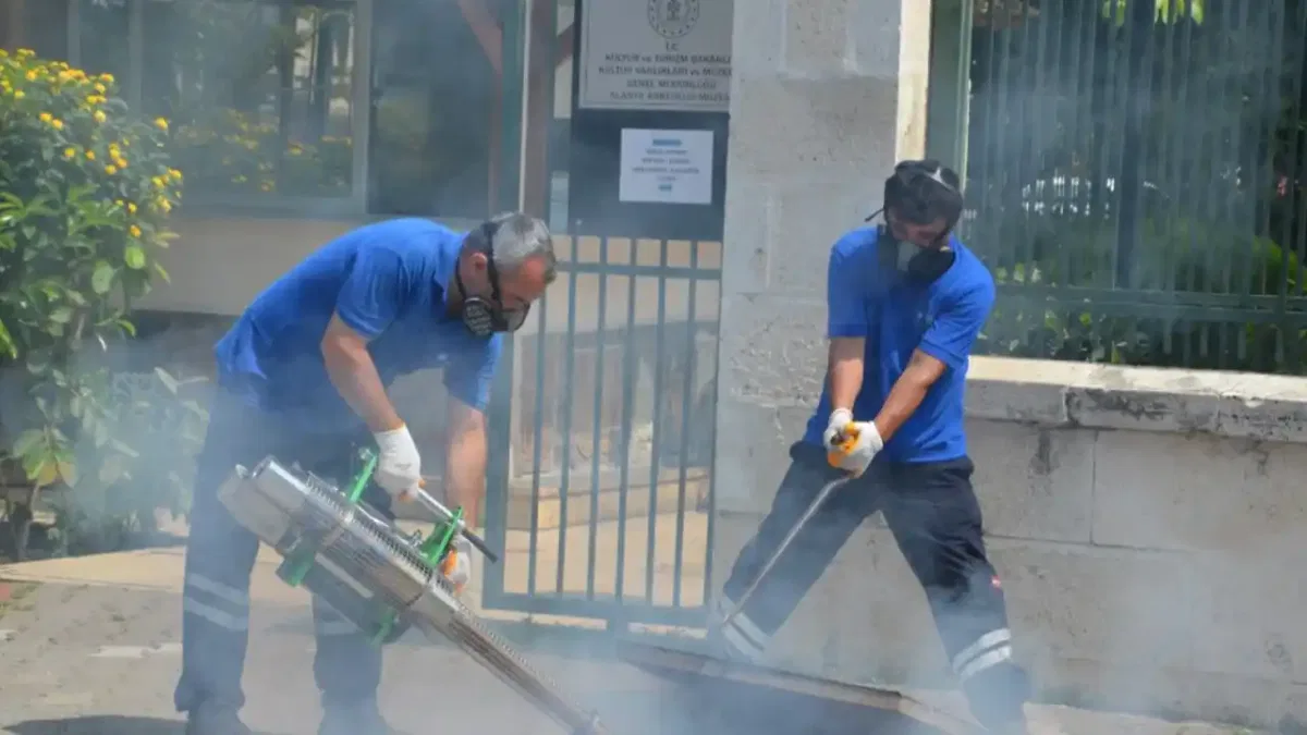 Antalya’da vektörel mücadele 4 koldan yürütülüyor