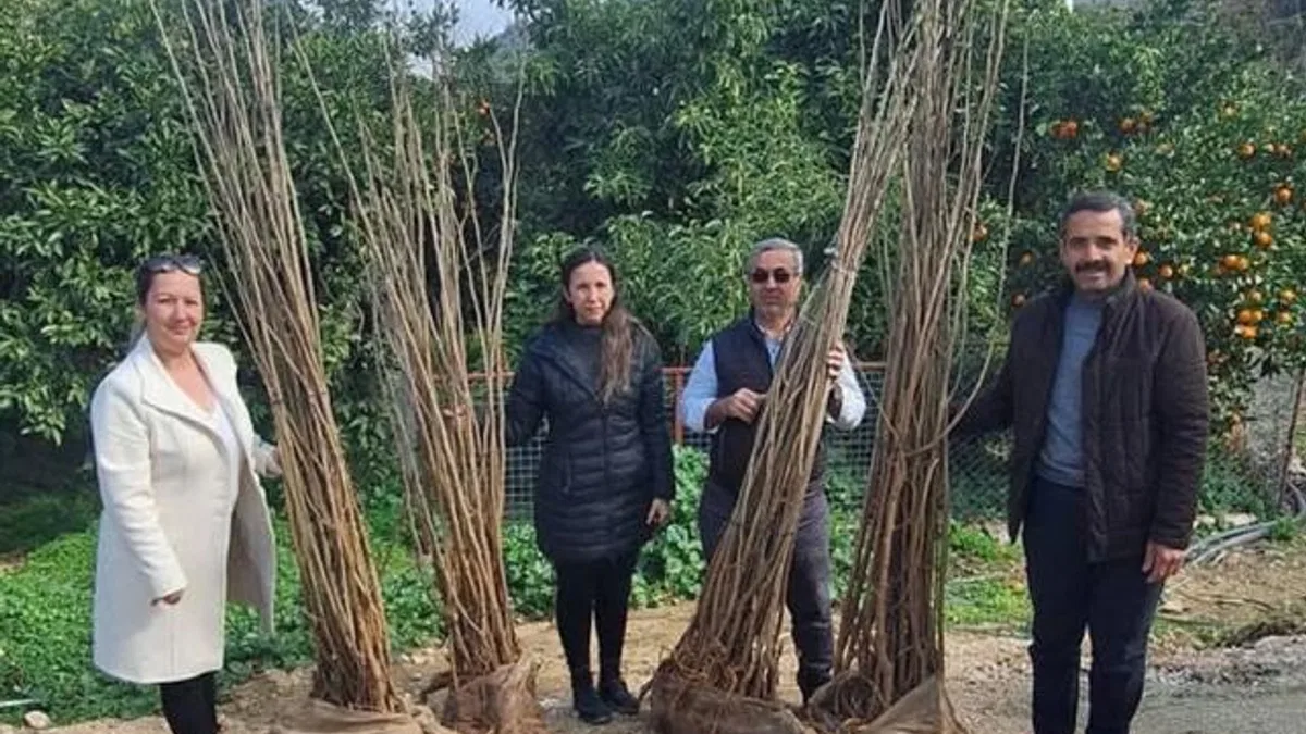 Antalya Büyükşehir’den dut fidanı desteği